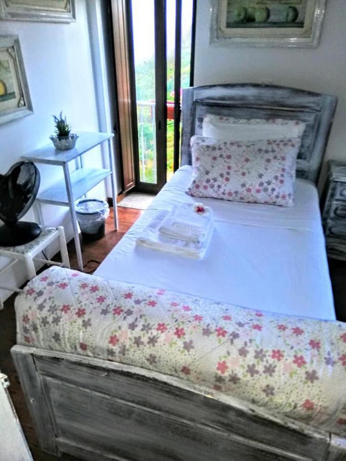 Catraia de Sao Paio Quinta Do Cavaleiro Ao Sol - Um Lugar Ao Sol旅馆 外观 照片